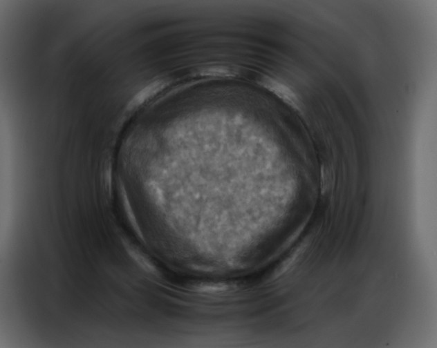 X0000086790349200705041553