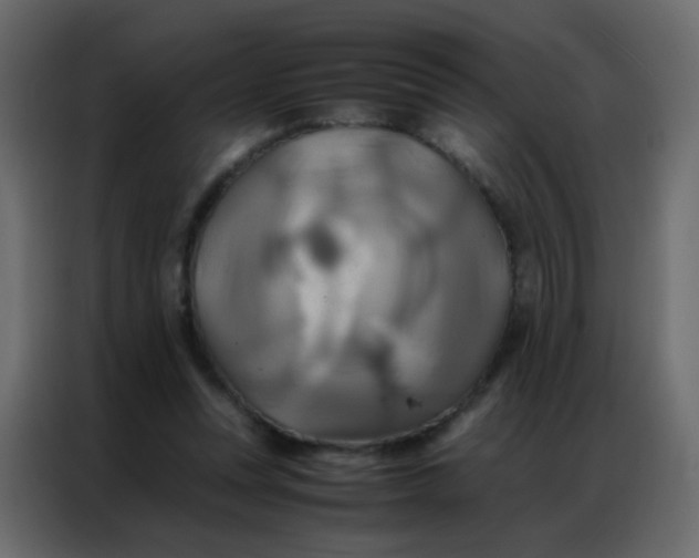 X0000086790351200705041553