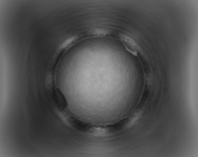 X0000086790352200705041553