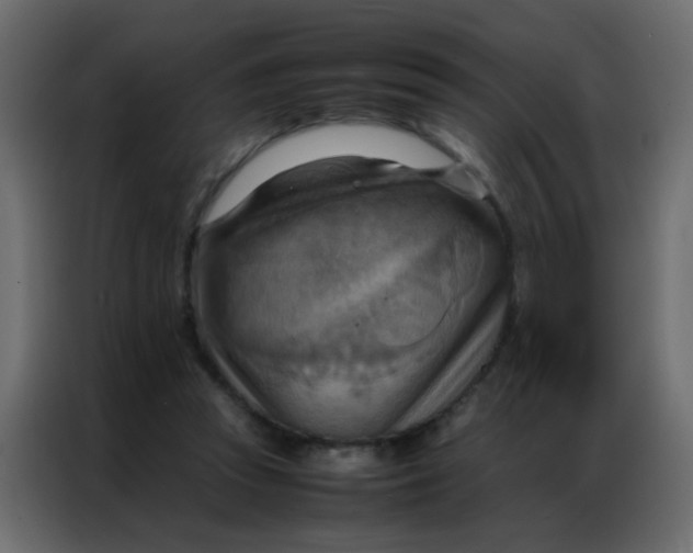 X0000086790353200705041553