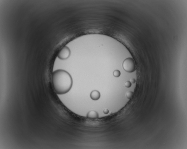 X0000086790354200705041553