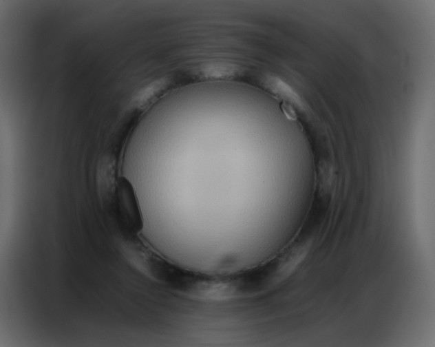 X0000086790356200705041553