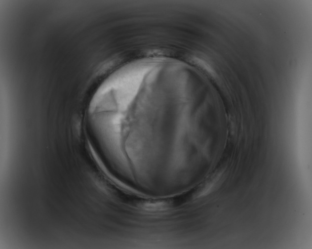 X0000086790357200705041553