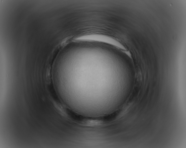 X0000086790360200705041553