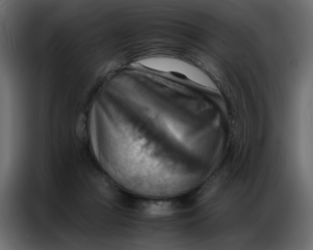 X0000086790361200705041553