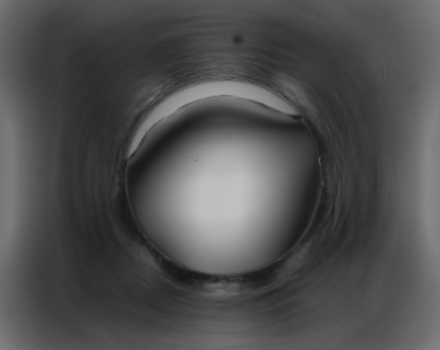 X0000086790362200705041553