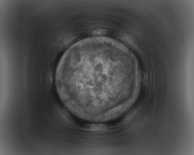 X0000086790363200705041553