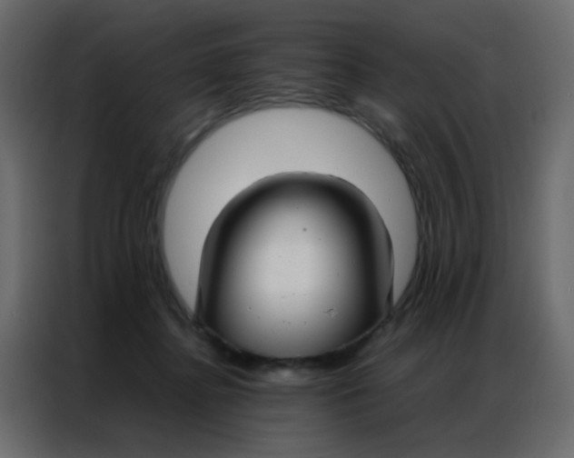 X0000086790364200705041553