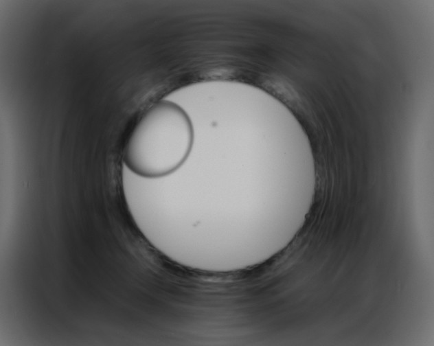 X0000086790366200705041553