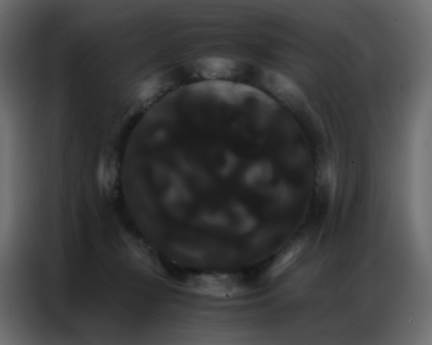 X0000086790367200705041553