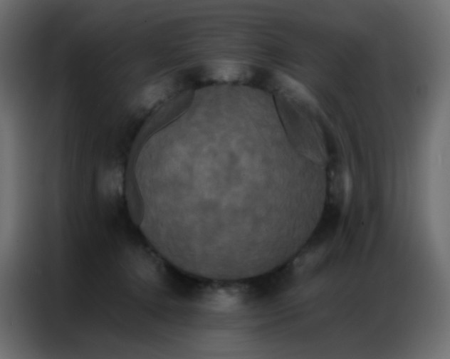 X0000086790368200705041553