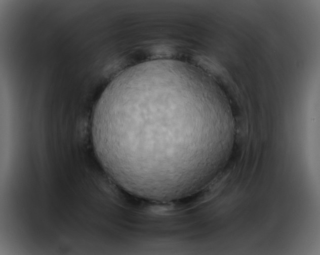 X0000086790369200705041553