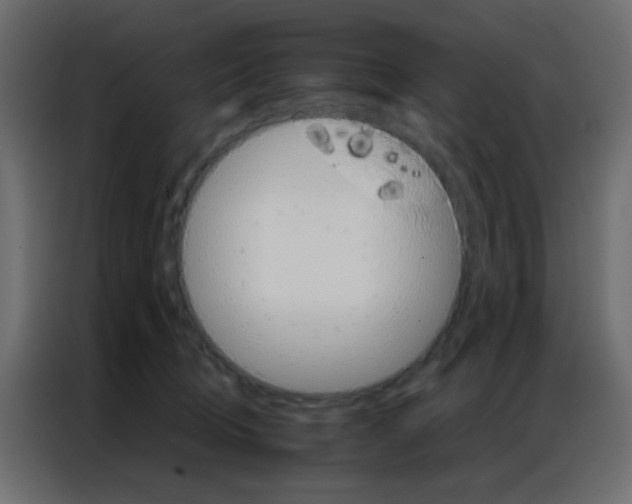 X0000086790370200705041553