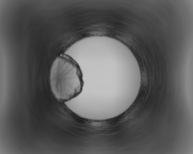 X0000086790371200705041553