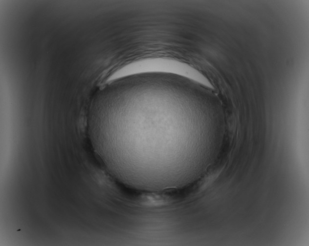 X0000086790372200705041553