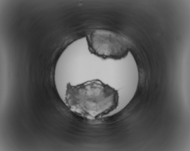 X0000086790373200705041553