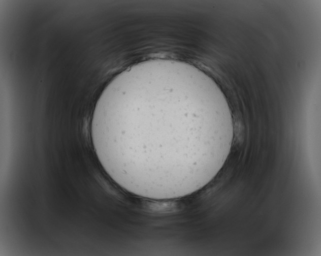 X0000086790375200705041553