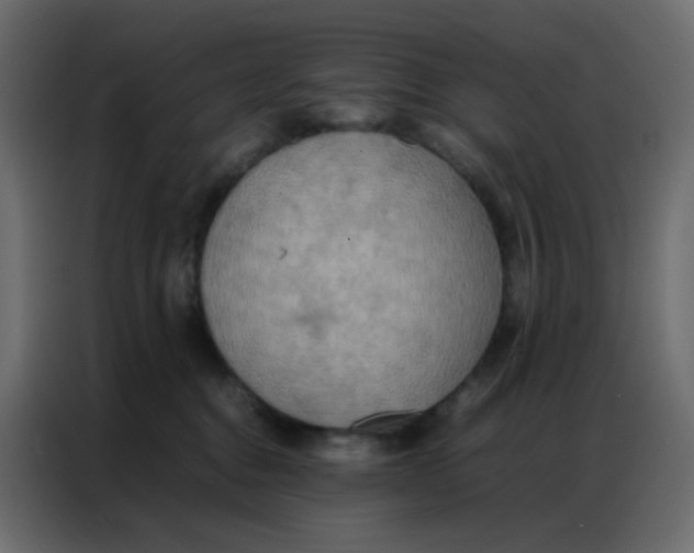 X0000086790376200705041553