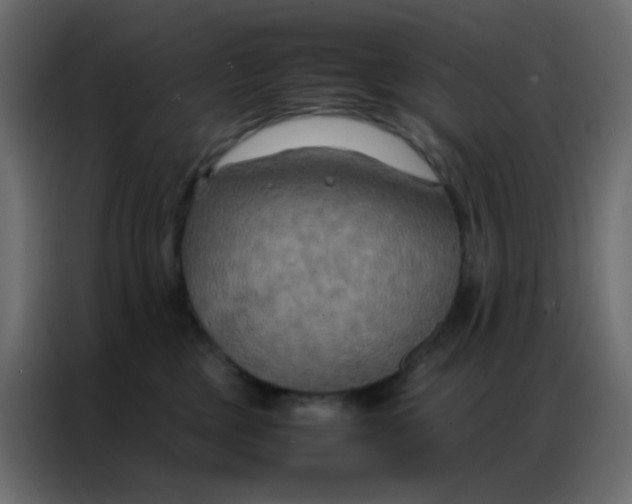 X0000086790377200705041553