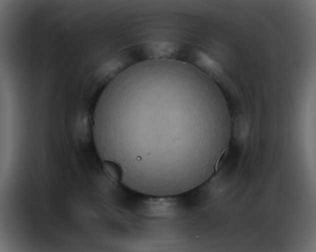 X0000086790378200705041553