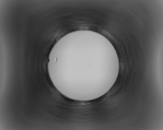 X0000086790379200705041553