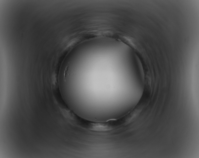 X0000086790380200705041553