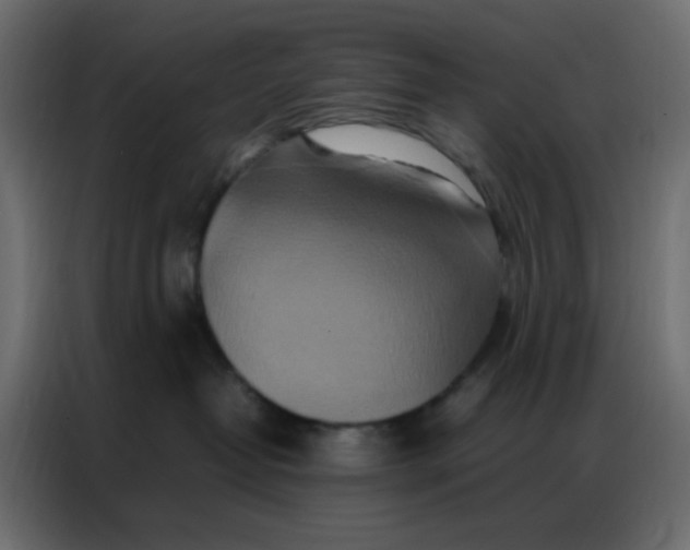 X0000086790382200705041553