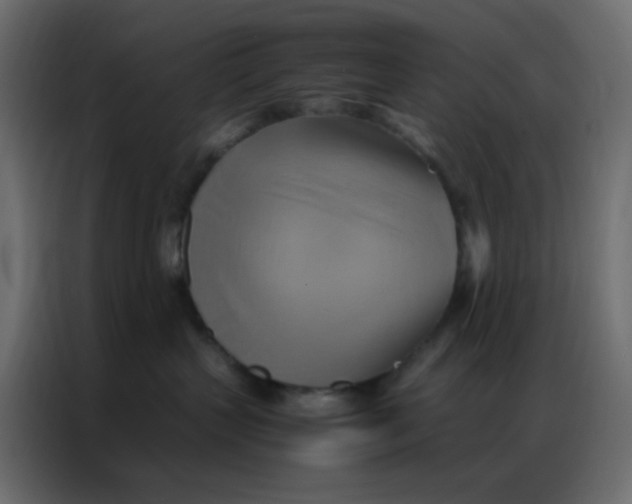 X0000086790383200705041553