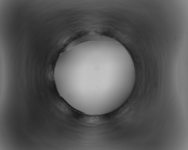 X0000086790384200705041553