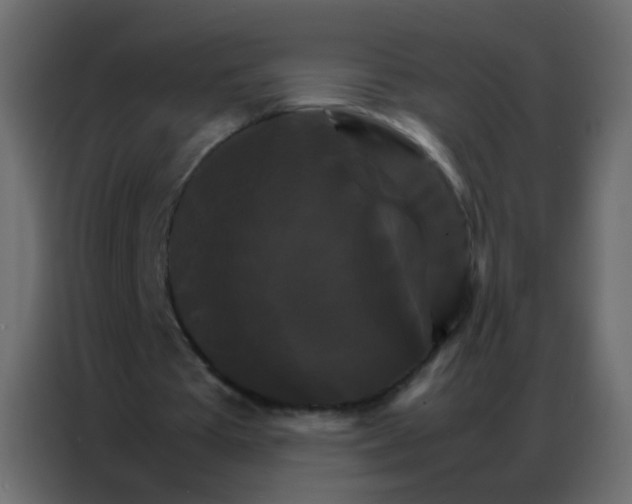 X0000086790385200705041553