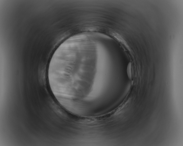 X0000086790386200705041553