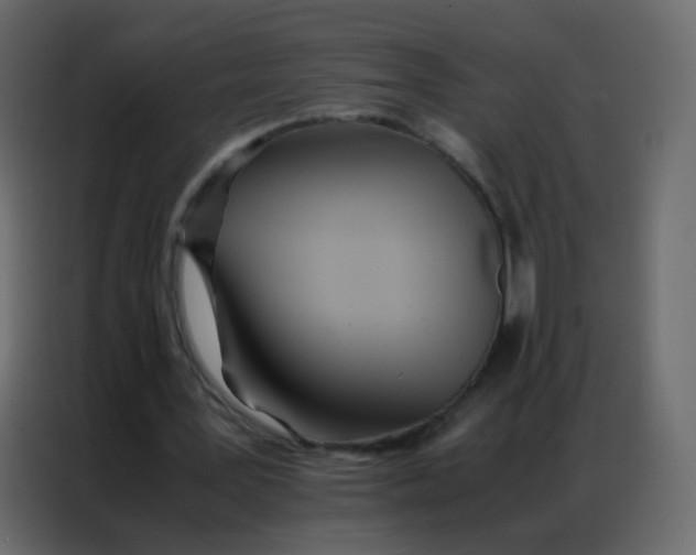 X0000086790387200705041552