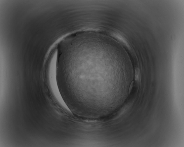 X0000086790388200705041552