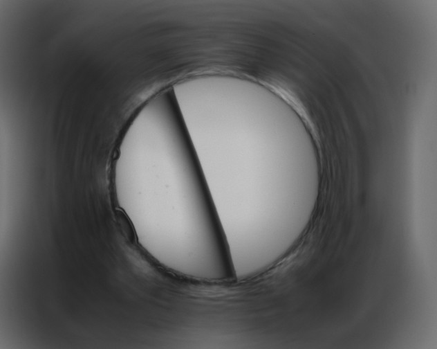 X0000086790389200705041552