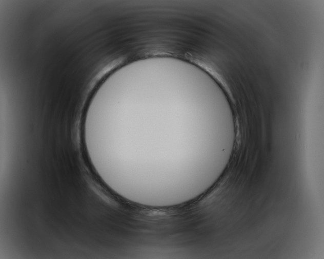 X0000086790390200705041552