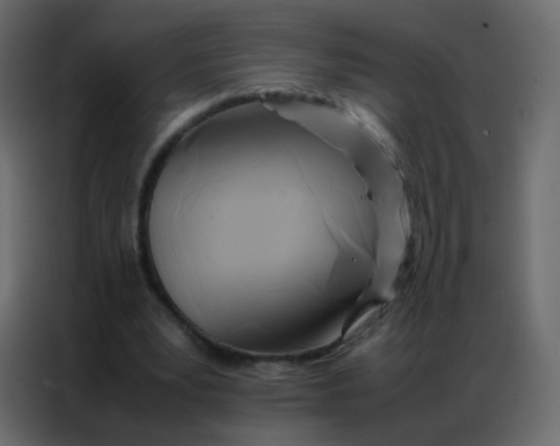 X0000086790391200705041552