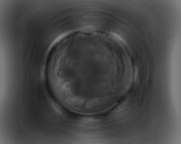 X0000086790392200705041552