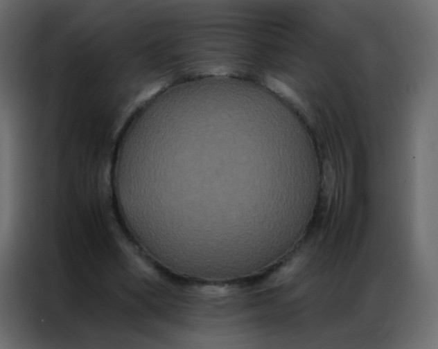 X0000086790394200705041552