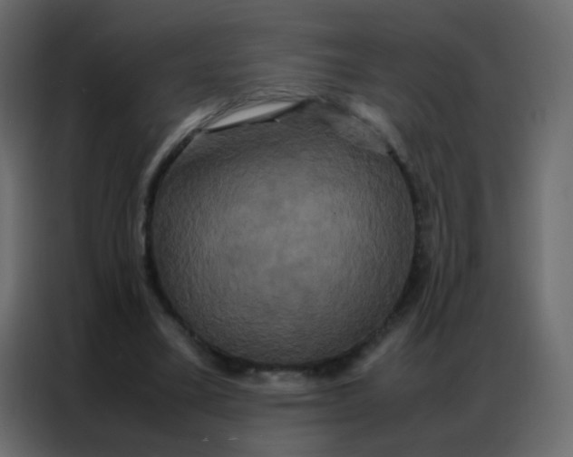 X0000086790395200705041552