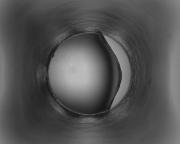 X0000086790397200705041552