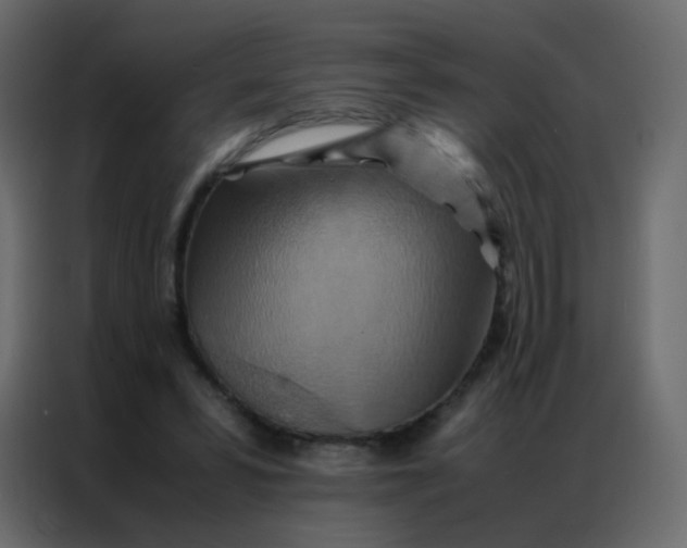 X0000086790399200705041552