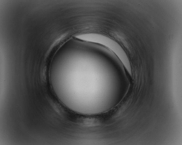 X0000086790400200705041552