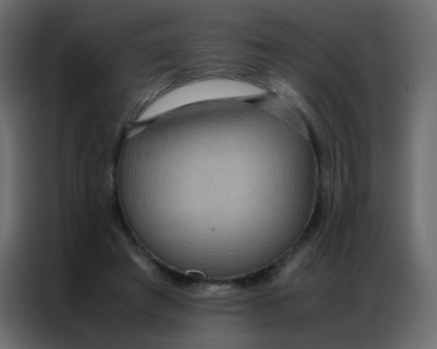 X0000086790401200705041552