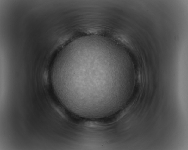 X0000086790408200705041552