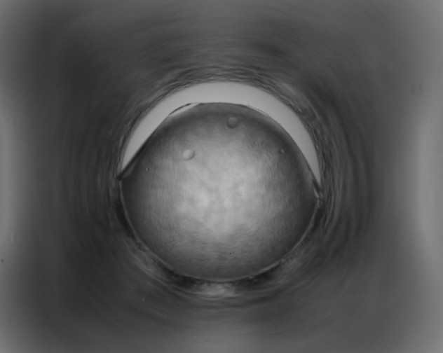 X0000086790409200705041552