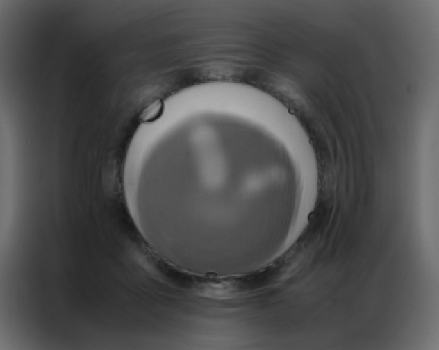 X0000086790411200705041552