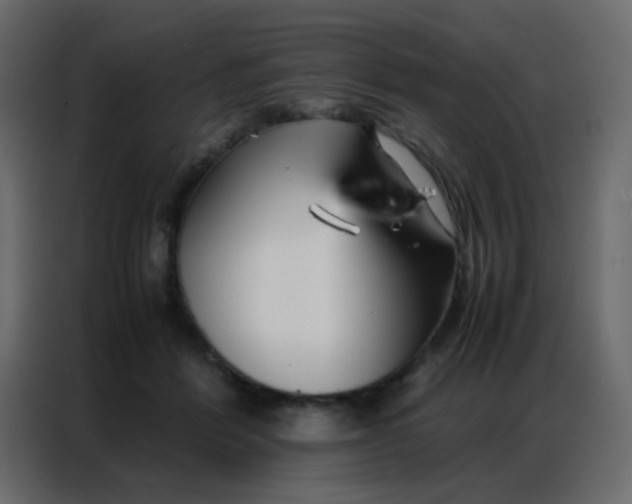 X0000086790412200705041552