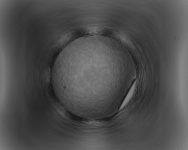 X0000086790413200705041552