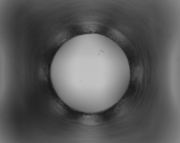 X0000086790414200705041552