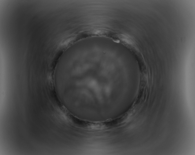 X0000086790415200705041552